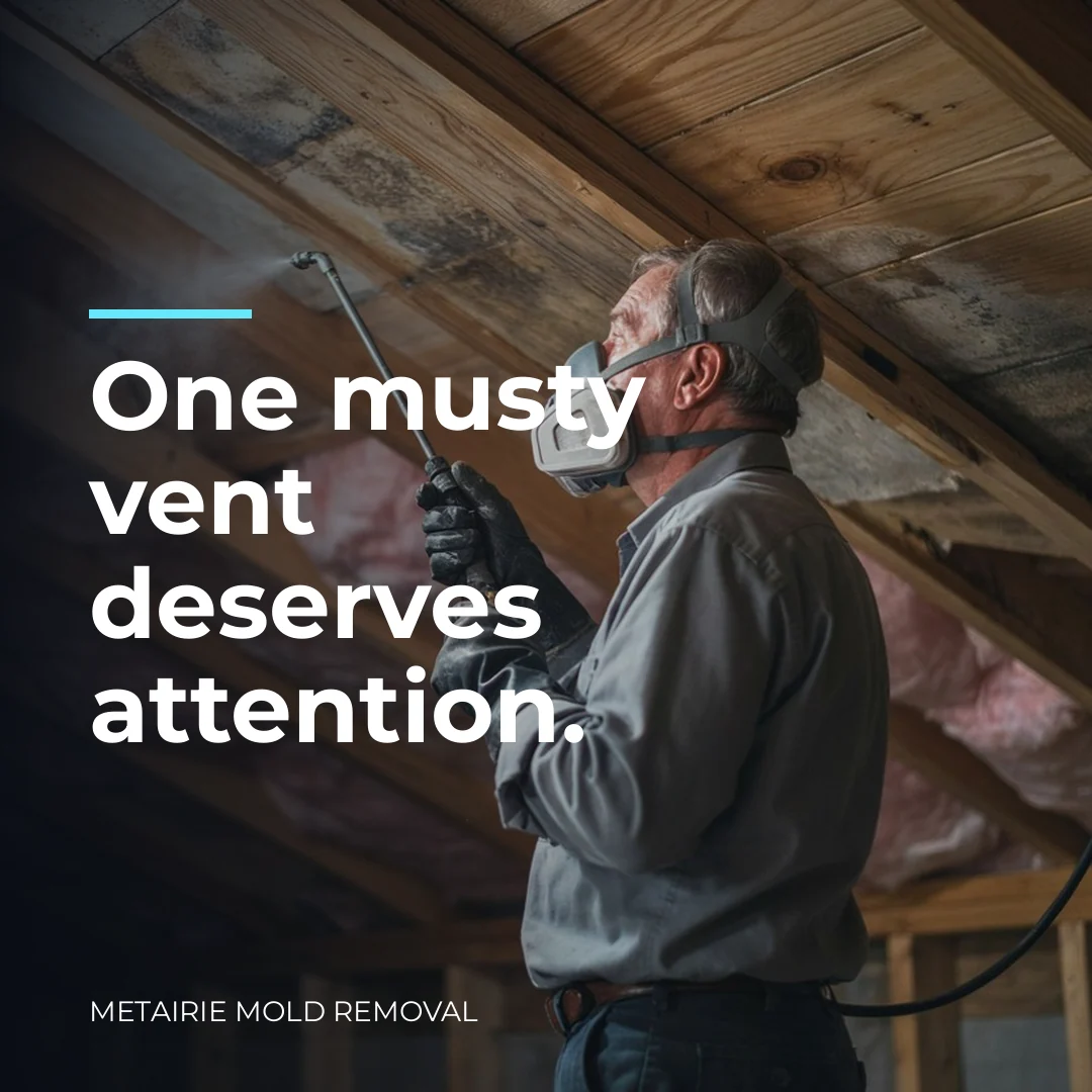 One musty vent deserves attention.