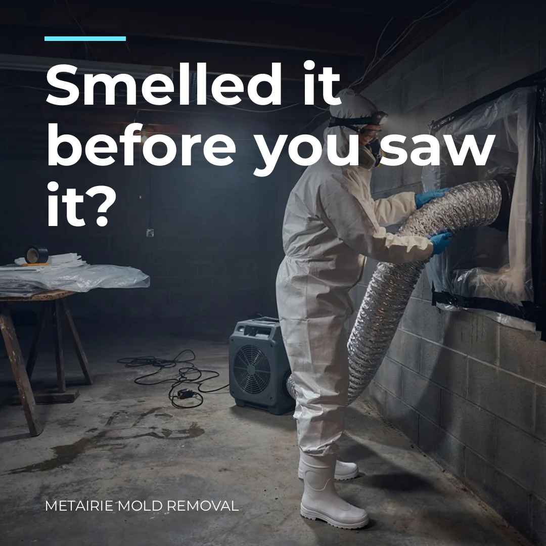 Smelled it before you saw it?